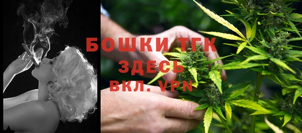 дживик Зеленодольск