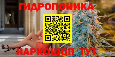 стаф Гусь-Хрустальный