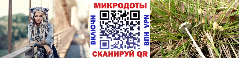 KRAKEN ТОР  мориарти официальный сайт  Галлюциногенные грибы GOLDEN TEACHER  Карабулак 