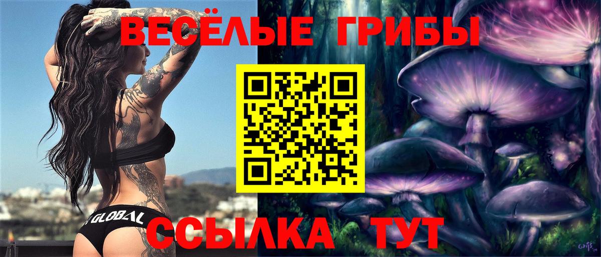 Галлюциногенные грибы ЛСД  Вход с VPN  Карабулак  Галлюциногенные грибы Cubensis 